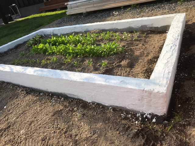 庭に家庭菜園スペースを 予算1万円以内でおしゃれな花壇をdiyで作成します つりきゃんぱぱぶ